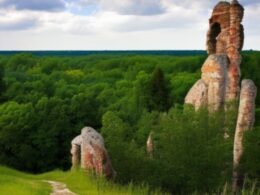 Ciekawostki o Parku Narodowym Bory Tucholskie